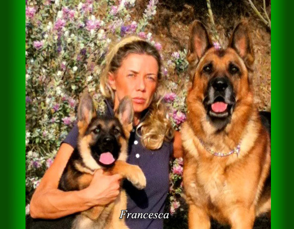 Lockruf con i suoi cani pastori tedeschi
